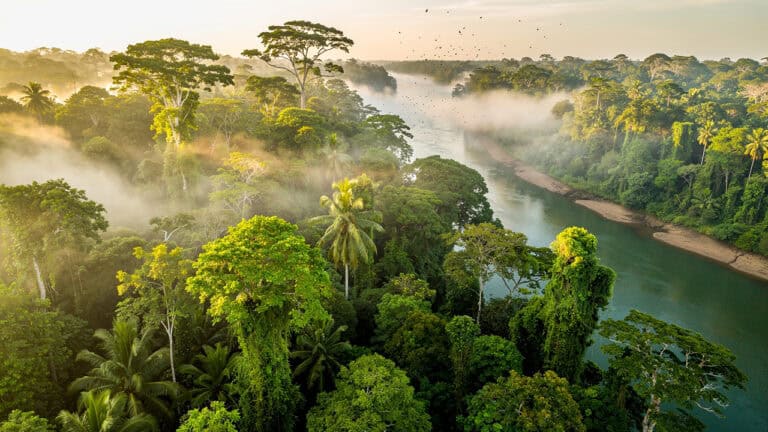 What Is Biodiversity? A Clear Guide for Nature Lovers