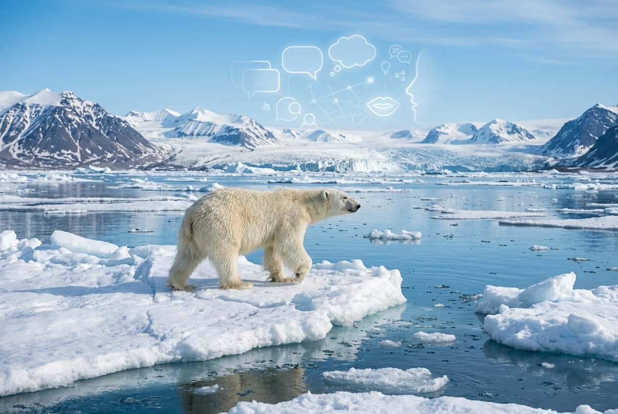 A polar bear standing on ice floes in the Arctic surrounded by icy water and glaciers under a clear sky.