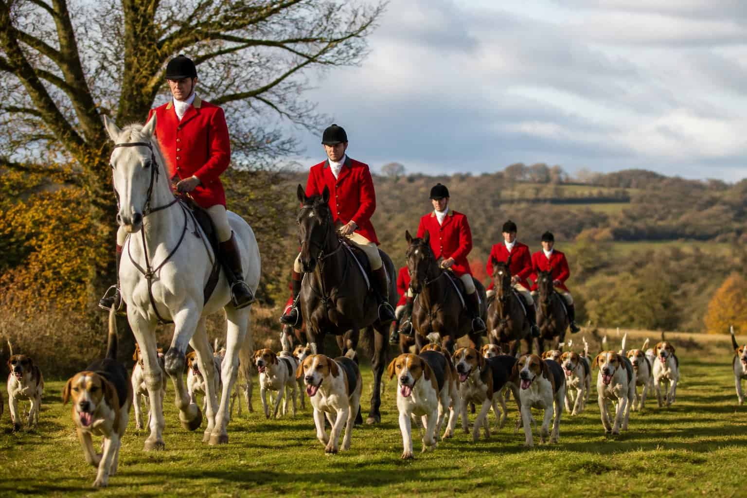 Hunters on horseback in red jackets riding with a pack of foxhounds through a countryside landscape.