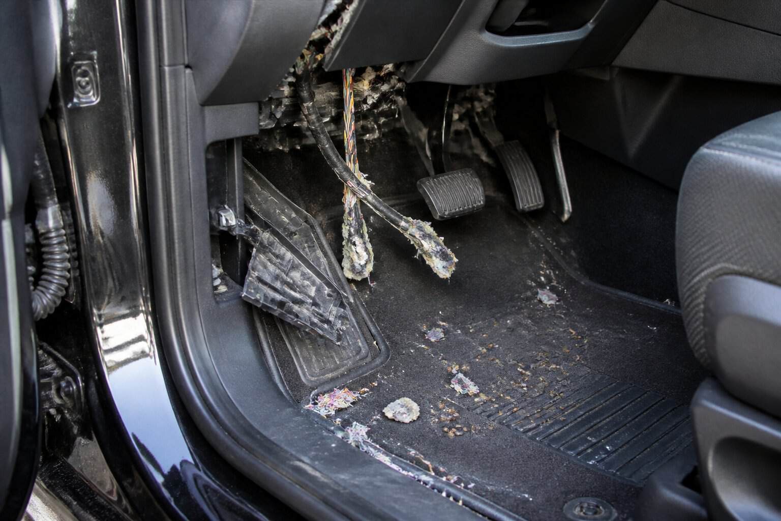 Car interior showing chewed wires and small debris on the floor, indicating rats have been inside.