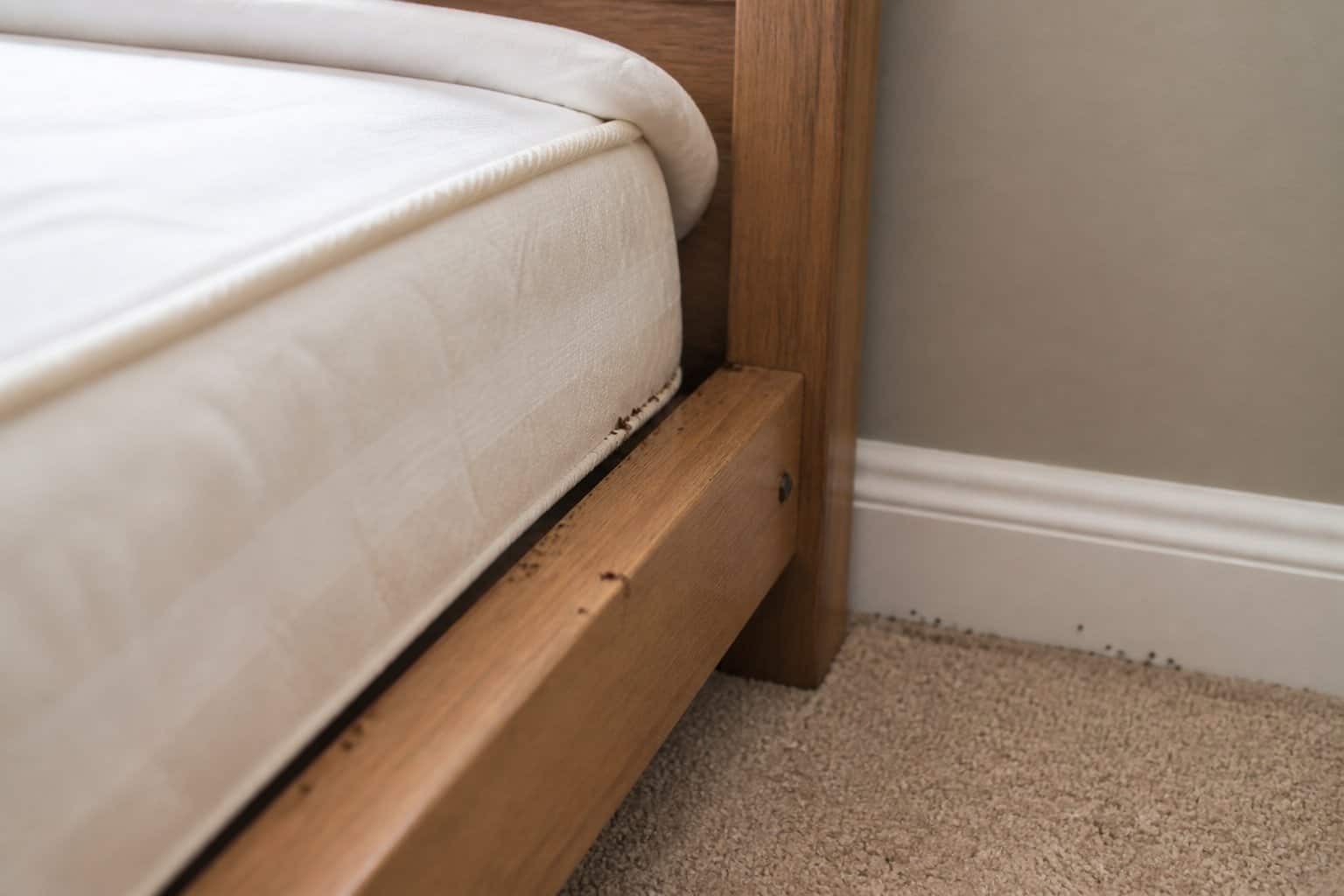 Close-up of the edges of a bed showing mattress seams, bed frame joints, and floor area where bed bugs often hide.