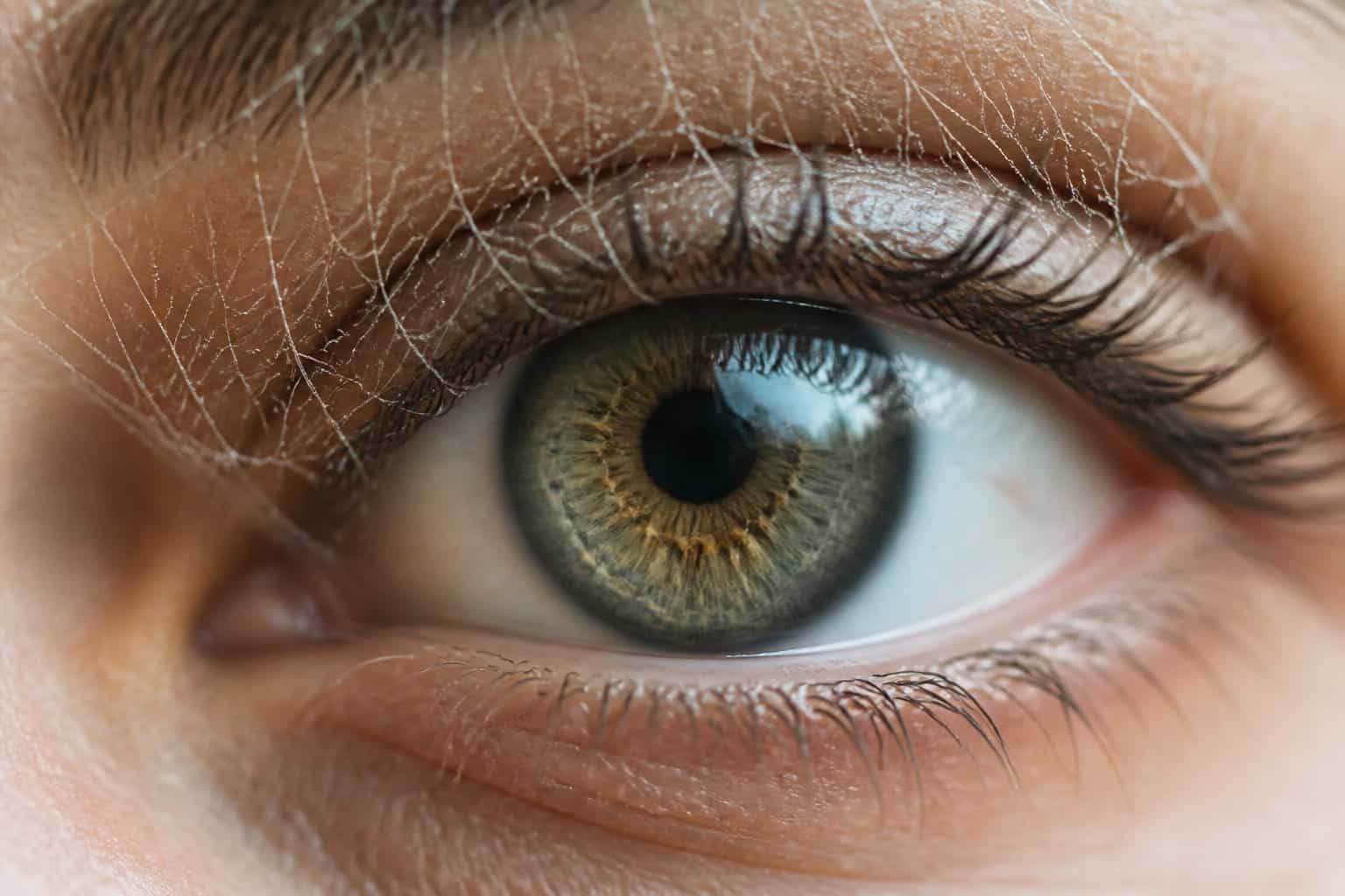 Close-up of a human eye with a delicate spider web gently resting on the eyelashes.