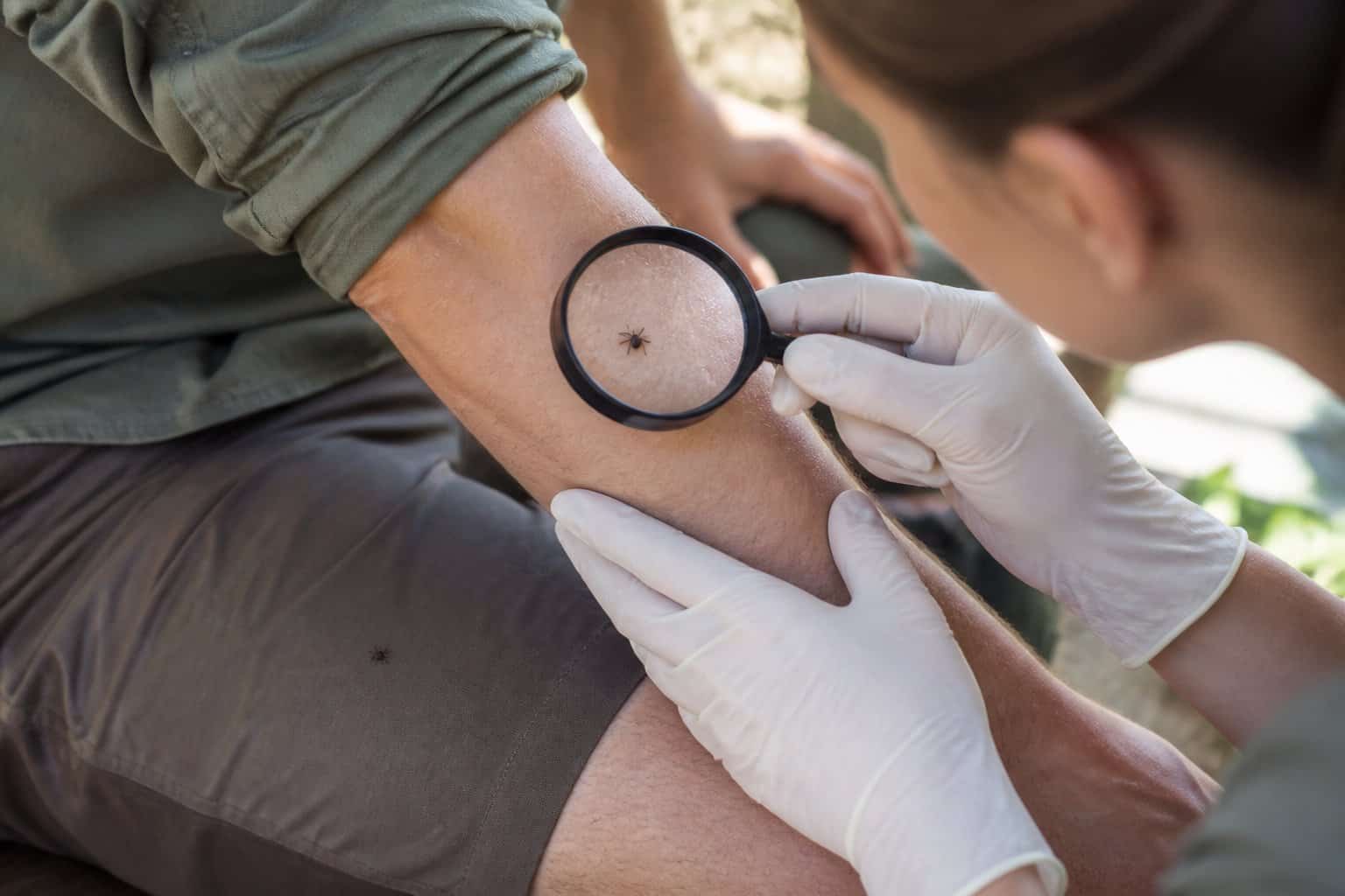 A person examines a small tick attached to their forearm while another person checks the area with a magnifying glass.