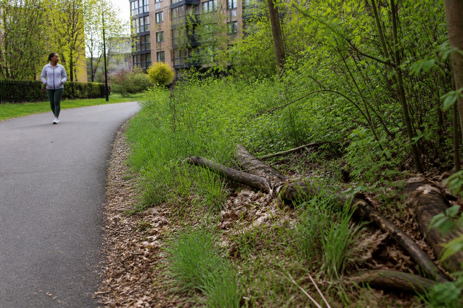 A city park path bordered by tall grass, shrubs, and leaf litter, with apartment buildings and a pedestrian in the background.